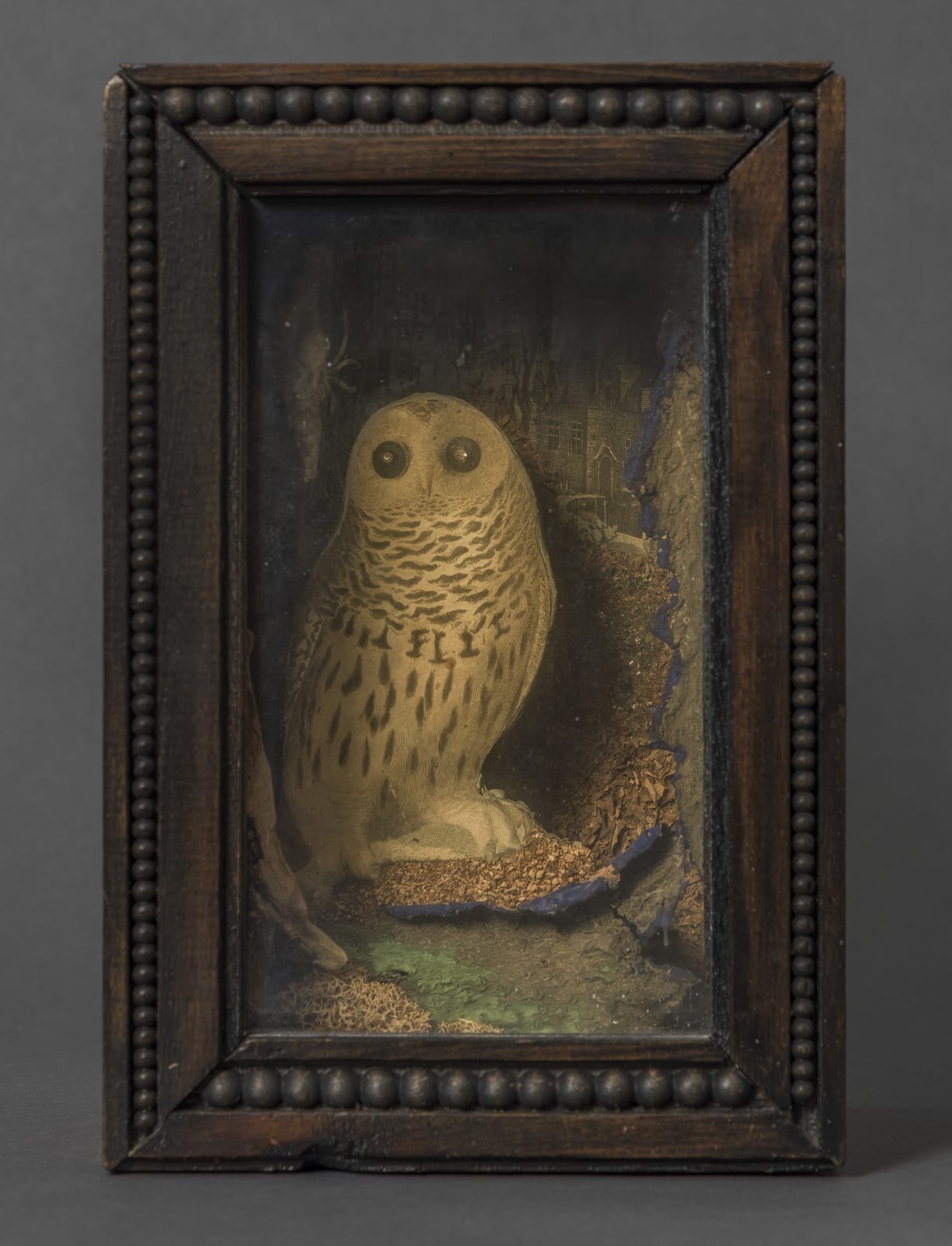 Joseph Cornell, An Owl for Ondine, 1954