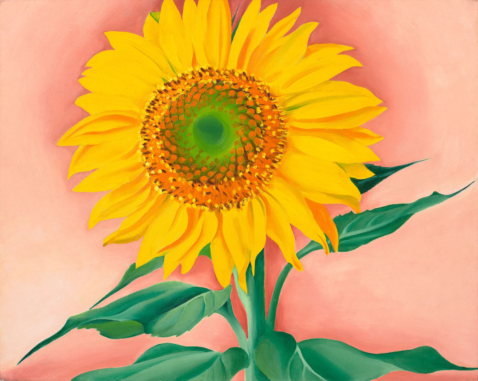 Georgia O'Keeffe, A Sunflower from Maggie, 1937
