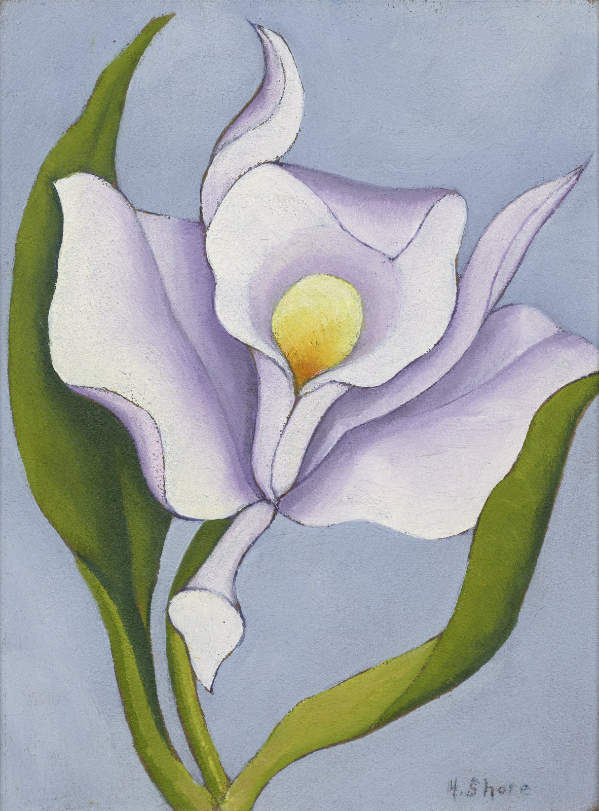 Henrietta Shore, White Orchid, c. 1925
