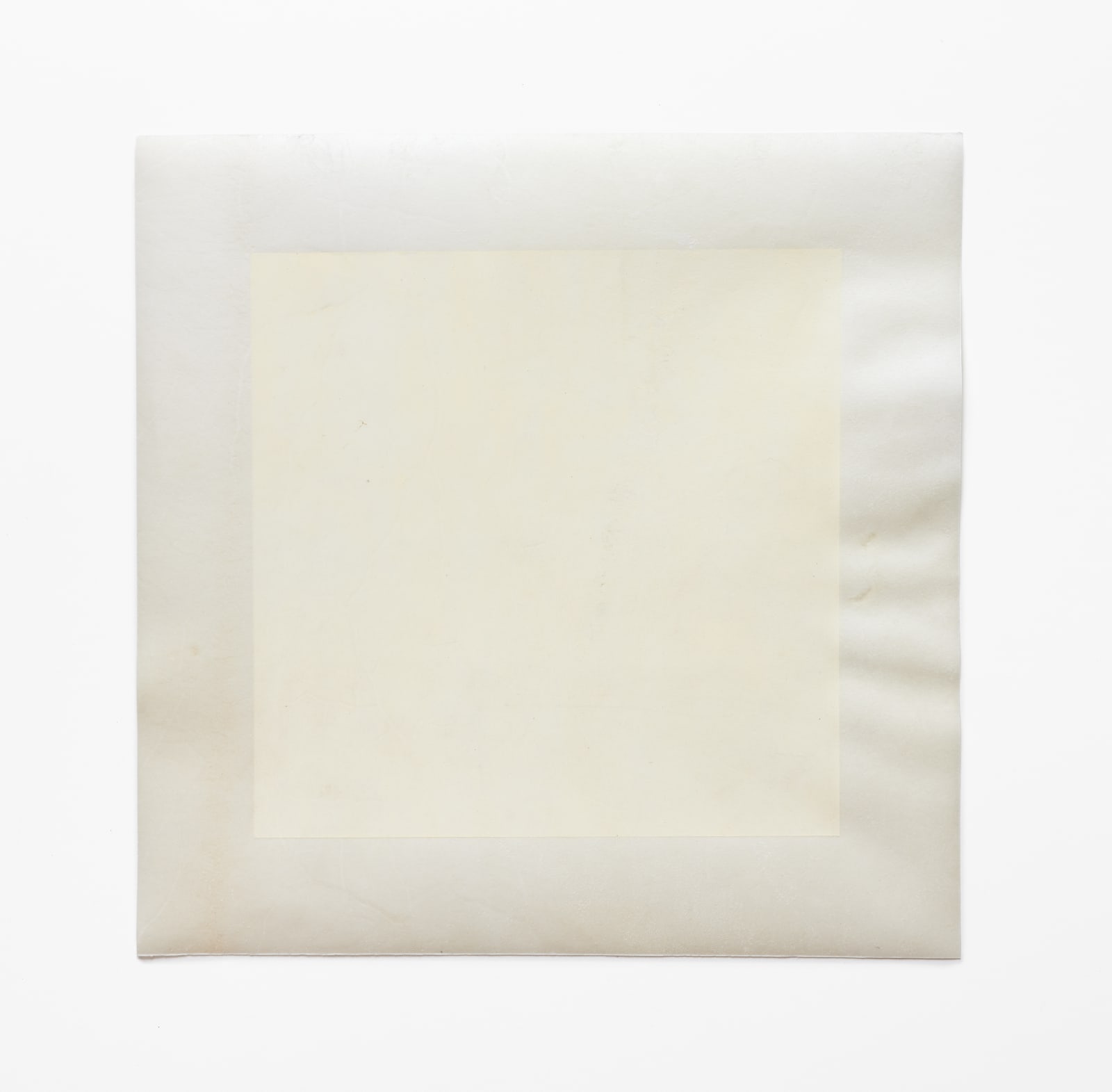 Afton Love, The Body Remembers (Joy), 2022