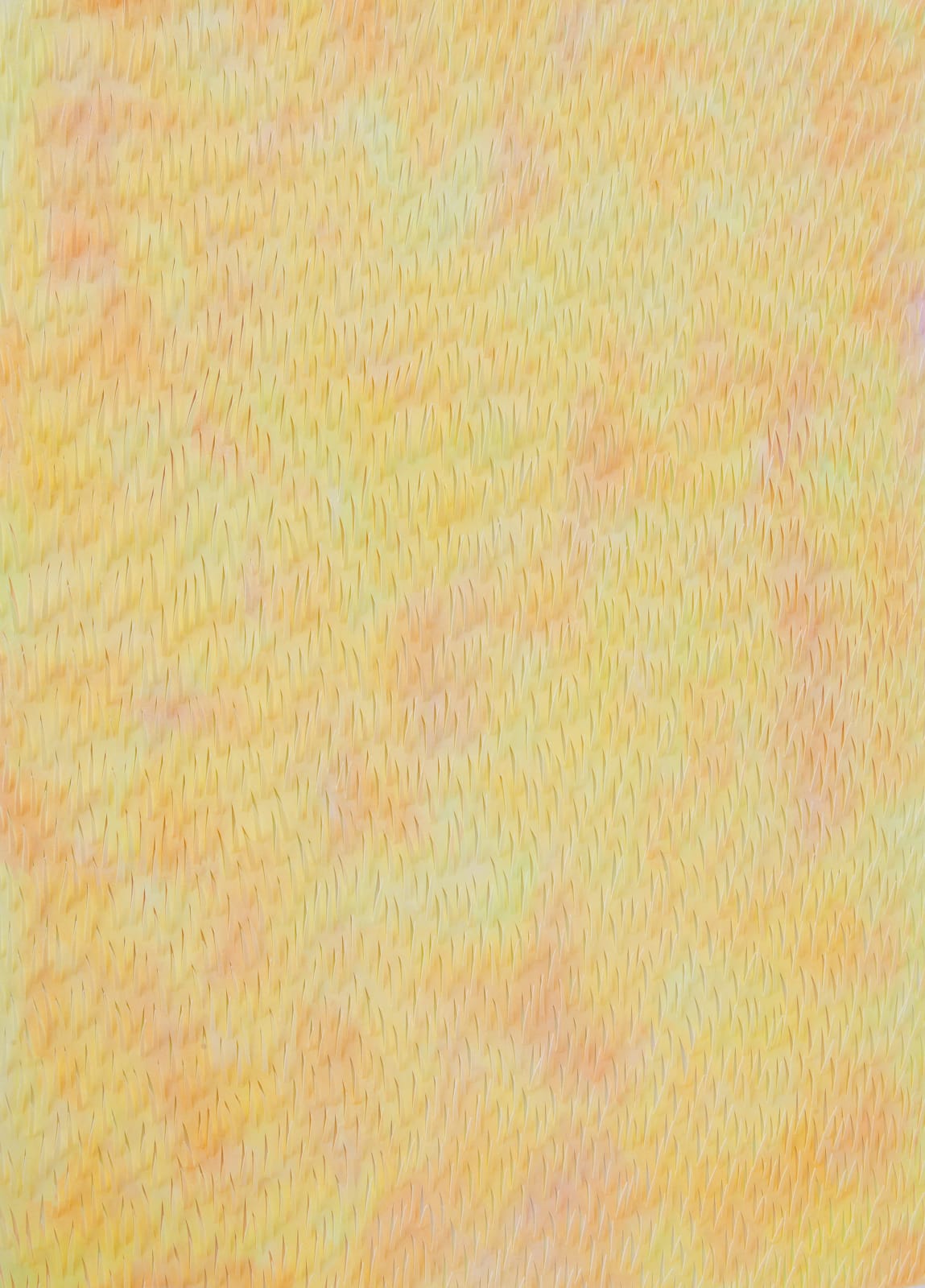 Zaida Oenema, Color Field V, 2022