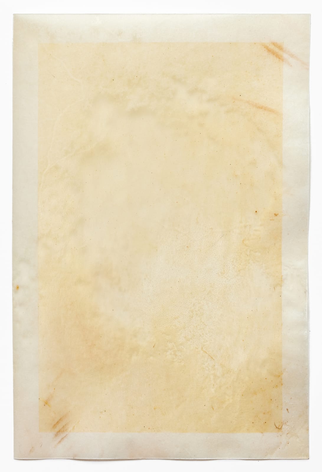 Afton Love, The Body Remembers (Formed), 2022