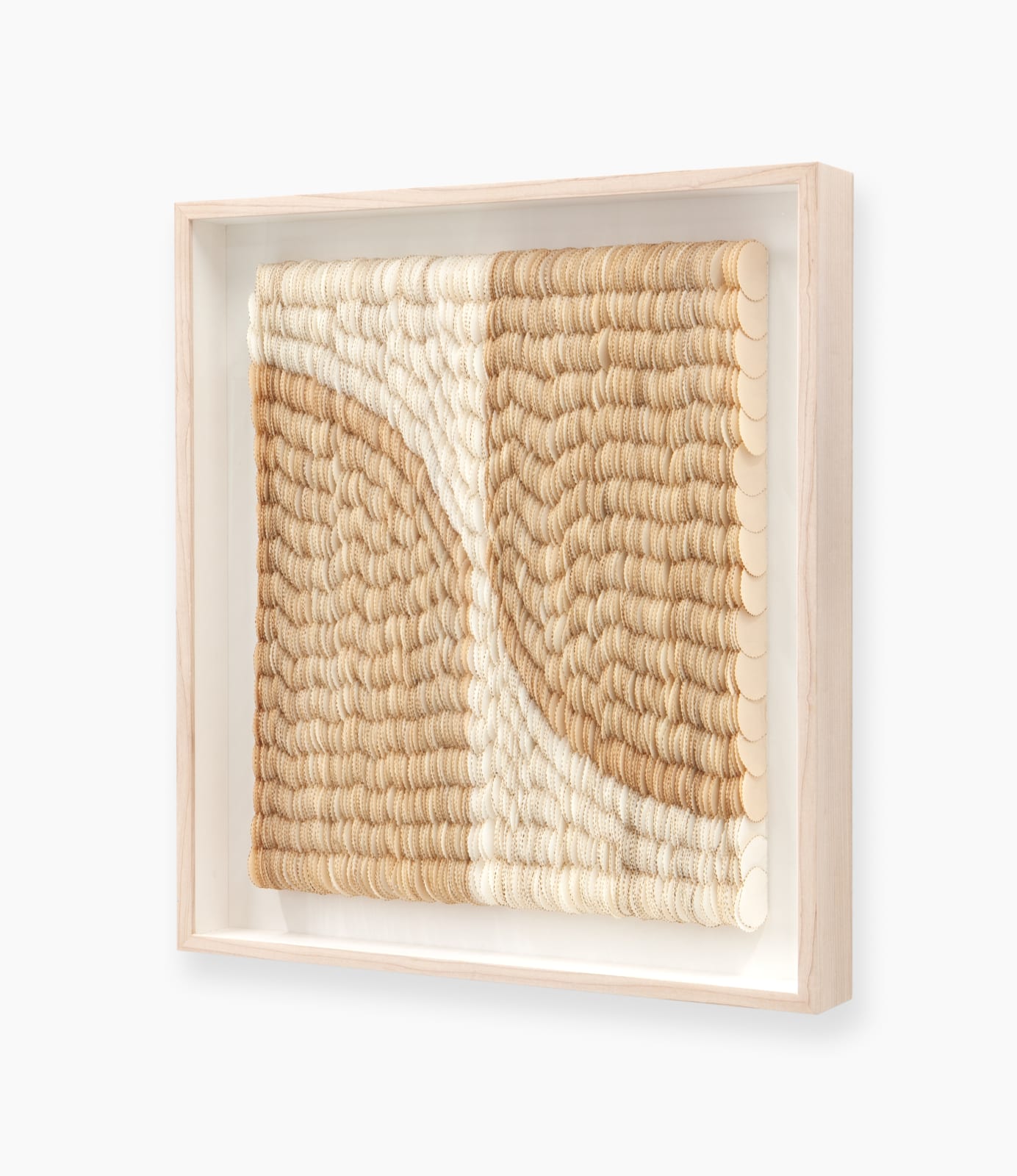 Zaida Oenema, Echo I, 2025