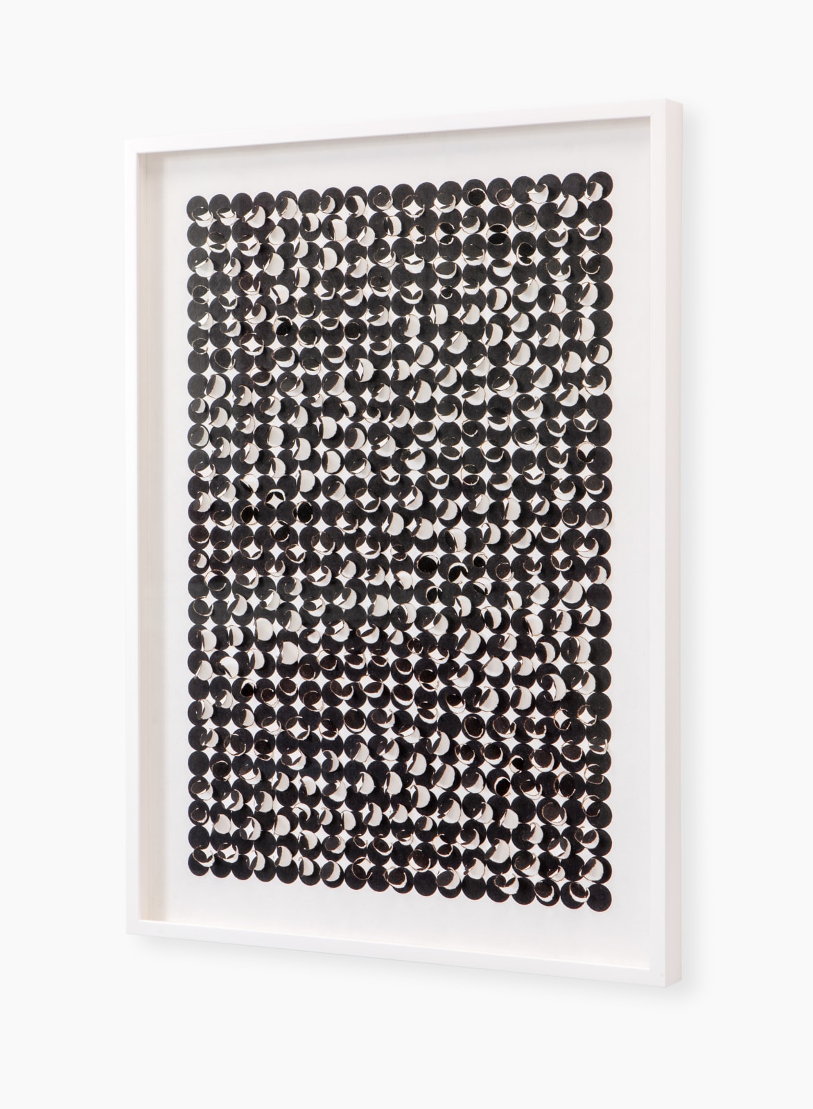 Zaida Oenema, Condensed (Monochrome Black/White), 2024