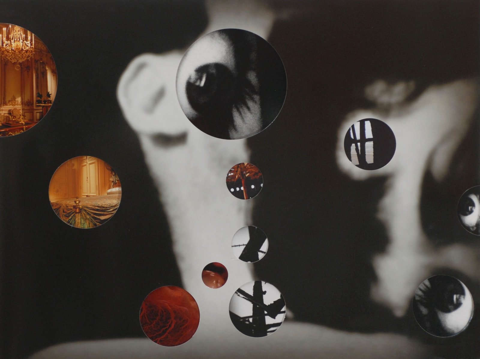 Bara Jichova Tyson, Adultery Series, Part 4, 2012