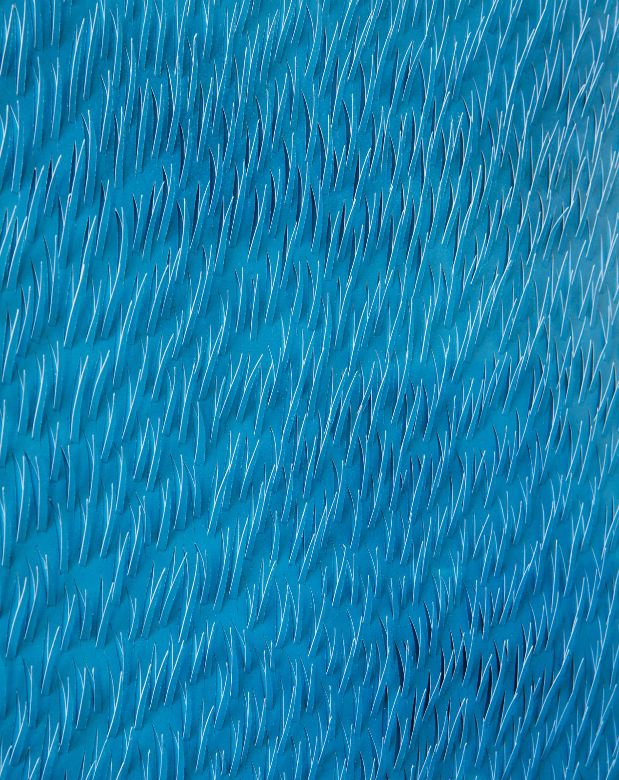 Zaida Oenema, Field Monochrome (Blue/Blue), 2021