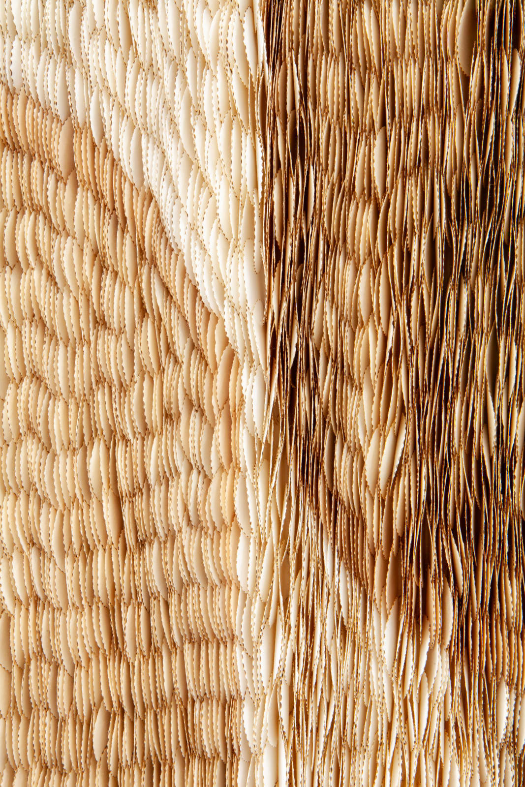 Zaida Oenema, Echo I, 2025