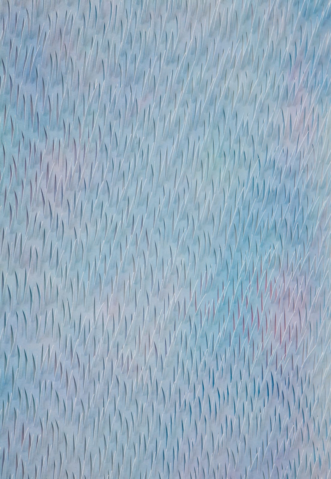 Zaida Oenema, Color Field III, 2022