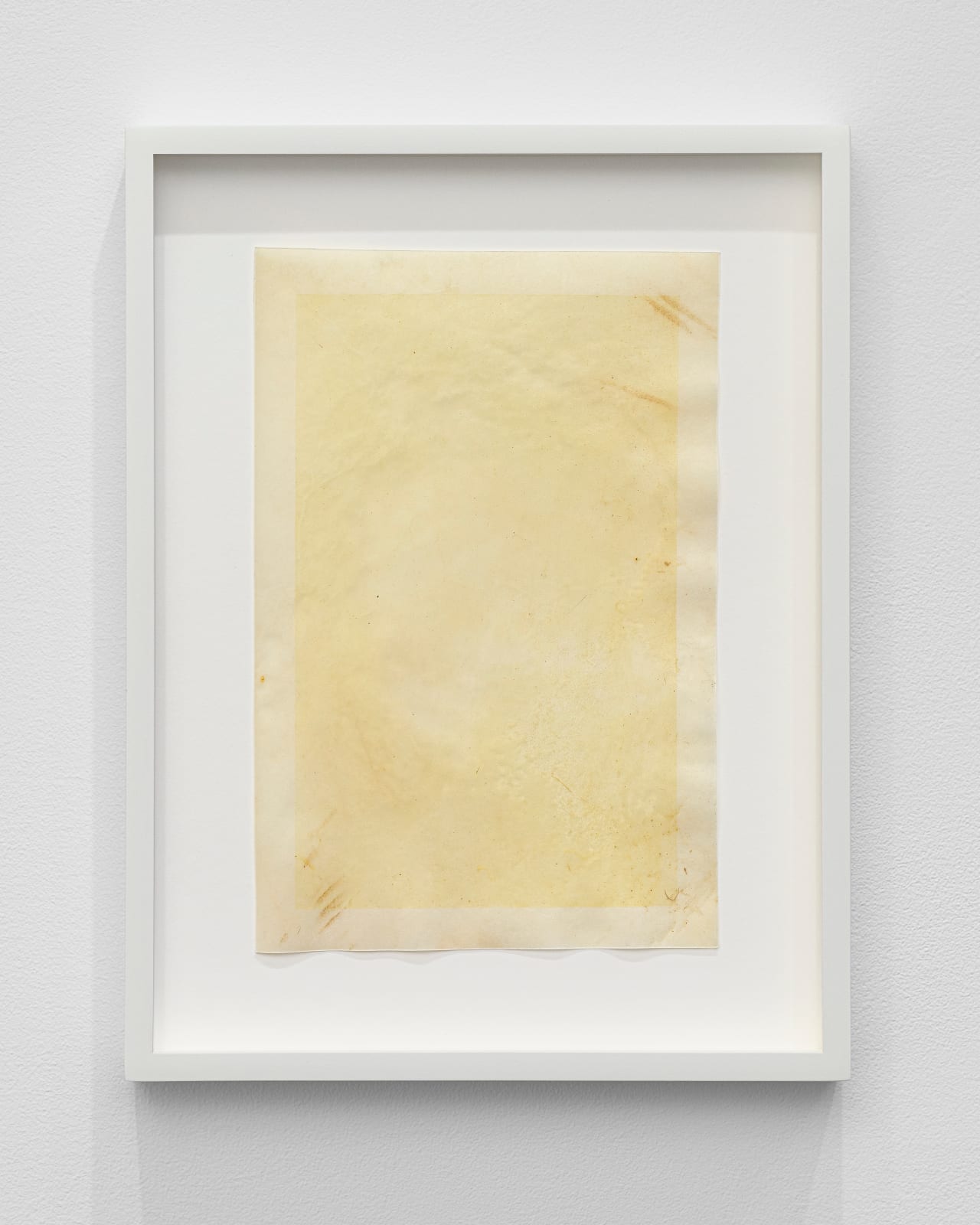 Afton Love, The Body Remembers (Formed), 2022