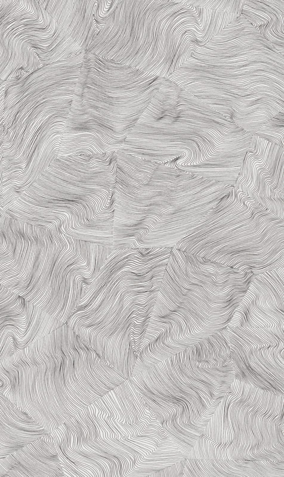 Jane Springwater, Fractal Drift, 2017