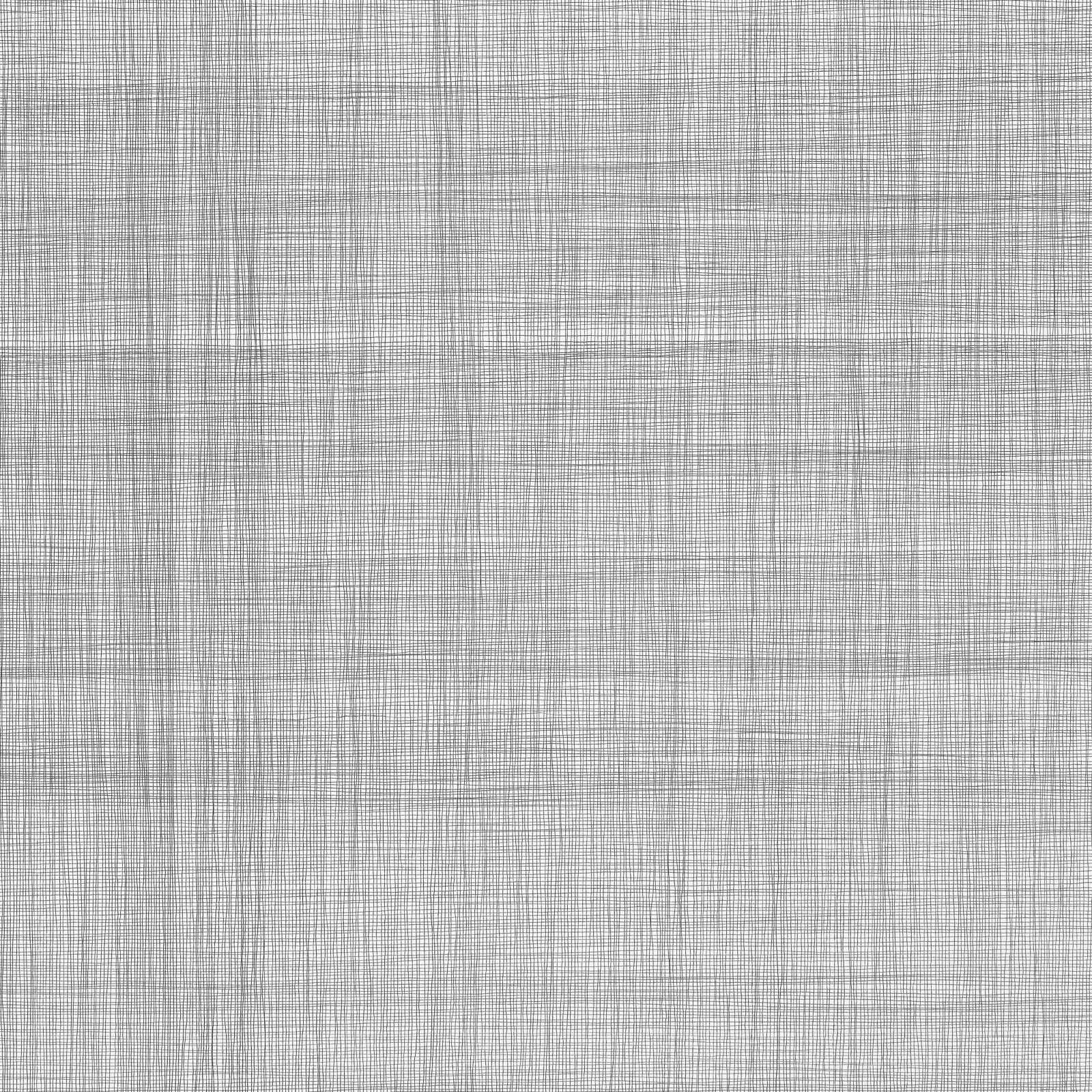 Jane Springwater, Lineation, 2024