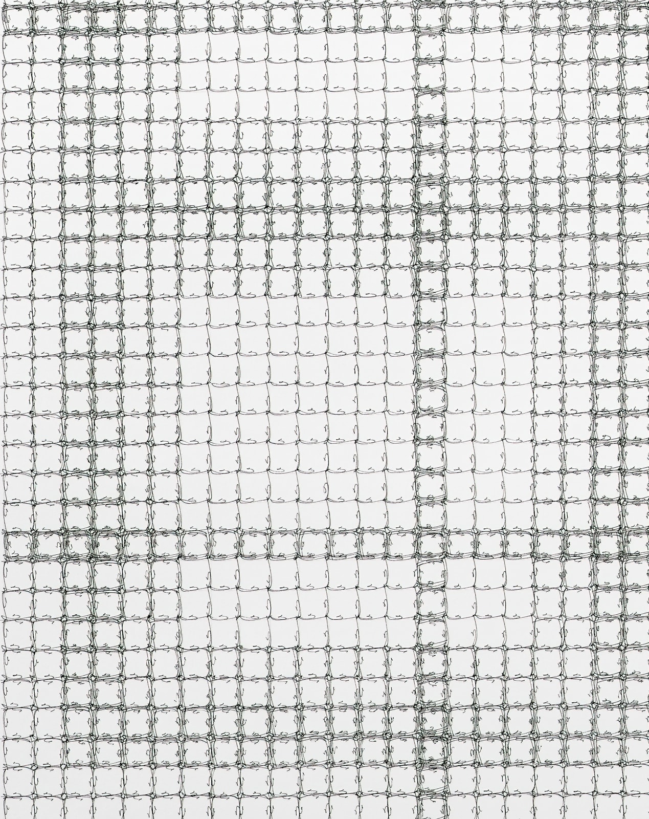 Jane Springwater, Timed Exposure, 2024