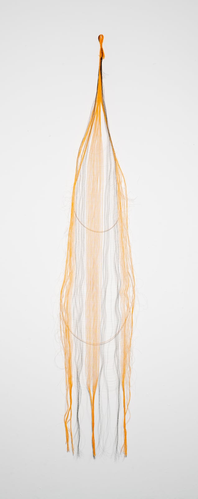 Michelle Yi Martin, Moth Cyana, 2023