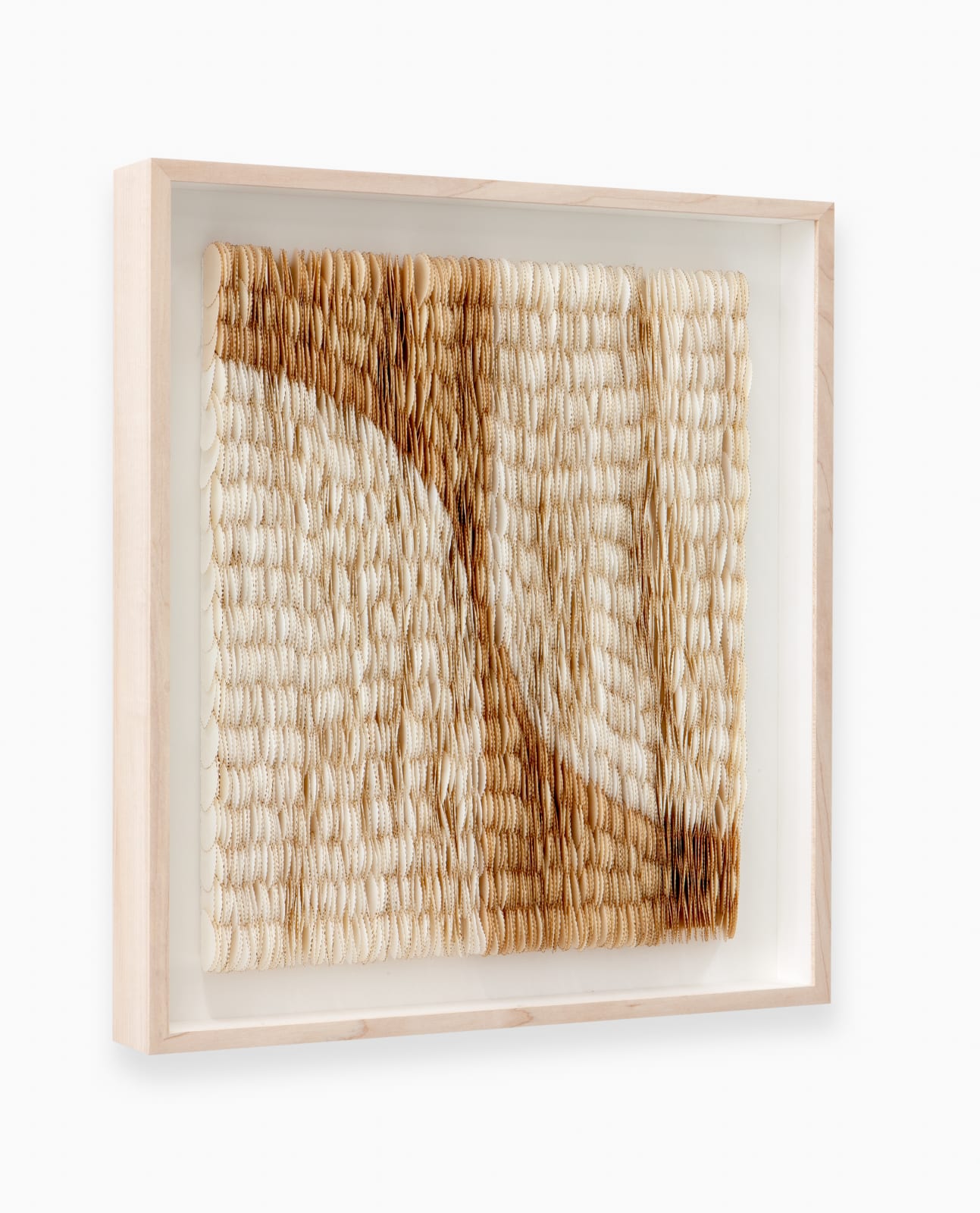 Zaida Oenema, Echo II, 2025