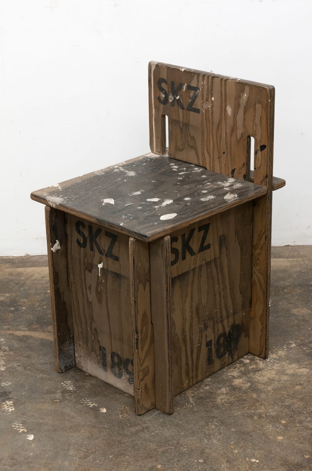 Dan Levenson, SKZ Student Chair, Room 189, 2017