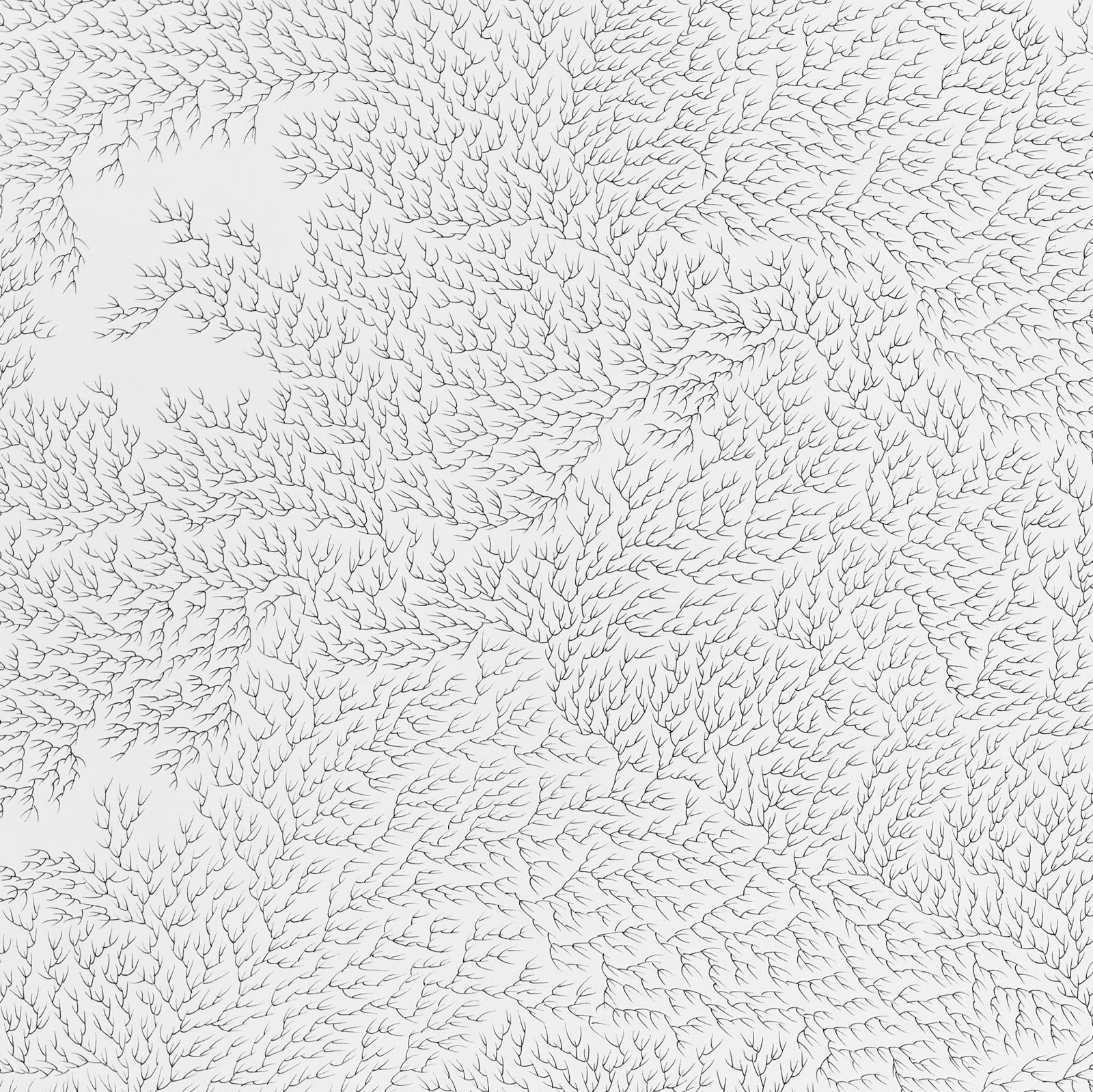 Jane Springwater, Refractions II, 2023