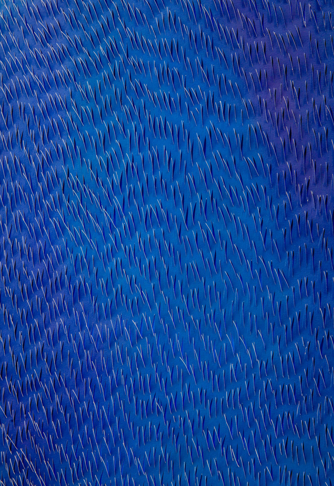 Zaida Oenema, Color Field VI, 2023