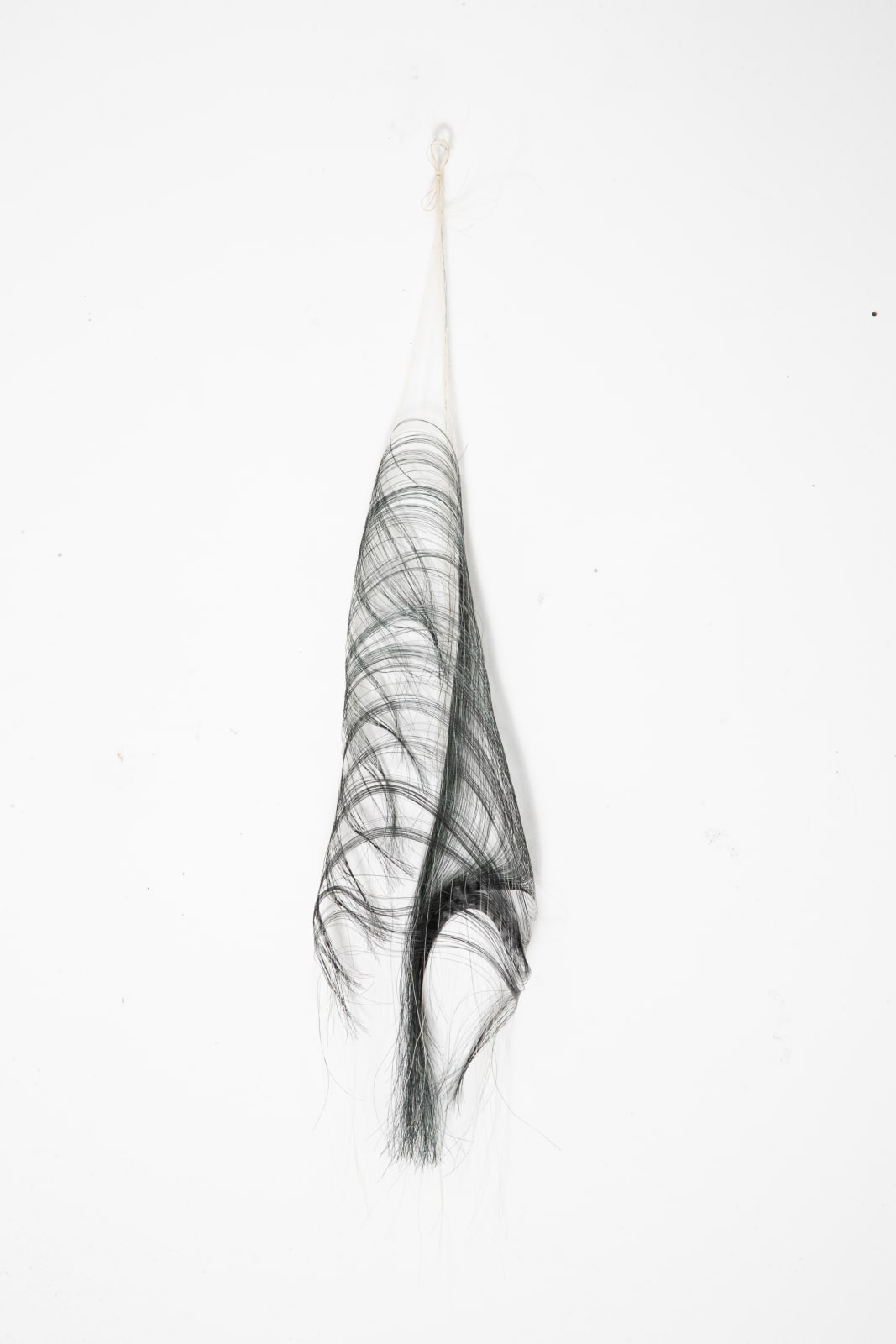 Michelle Yi Martin, X-ray, 2019