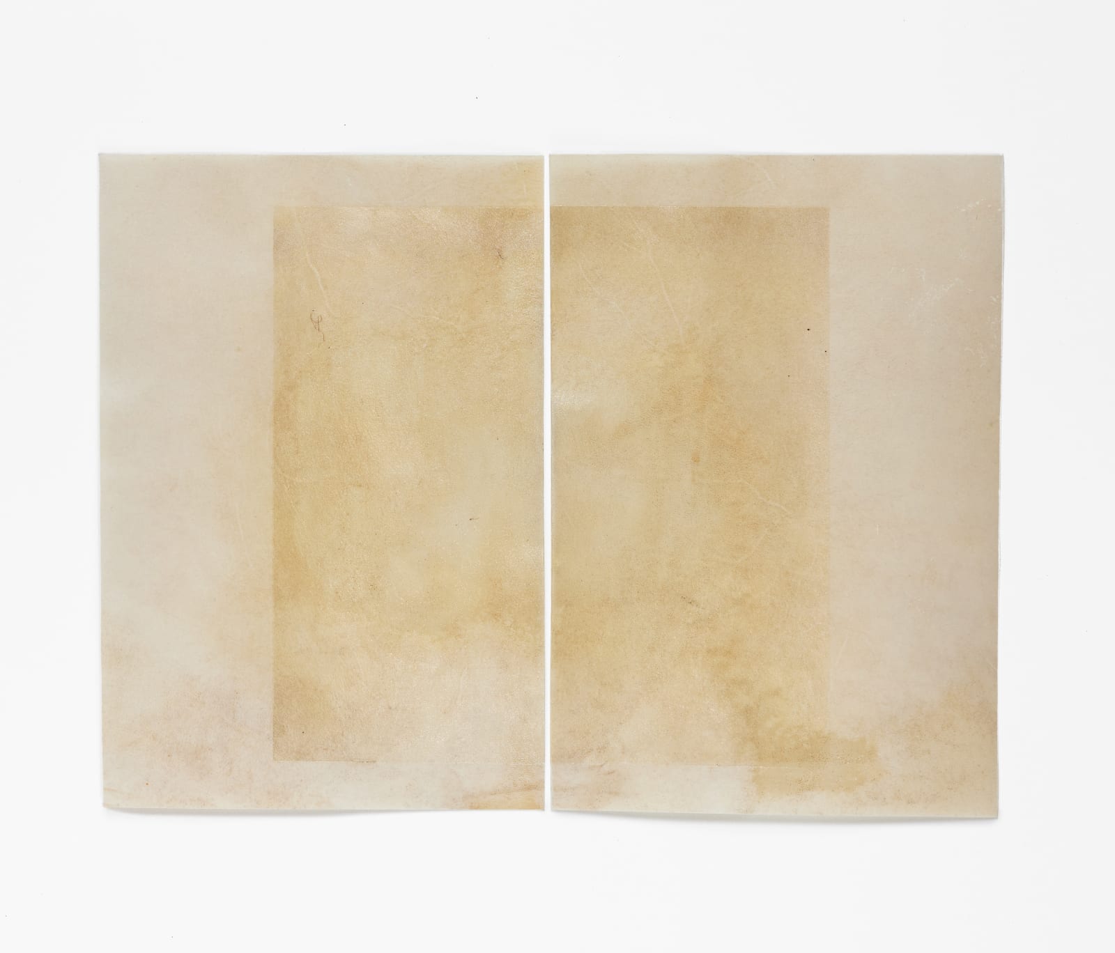 Afton Love, The Body Remembers (Hold), 2022