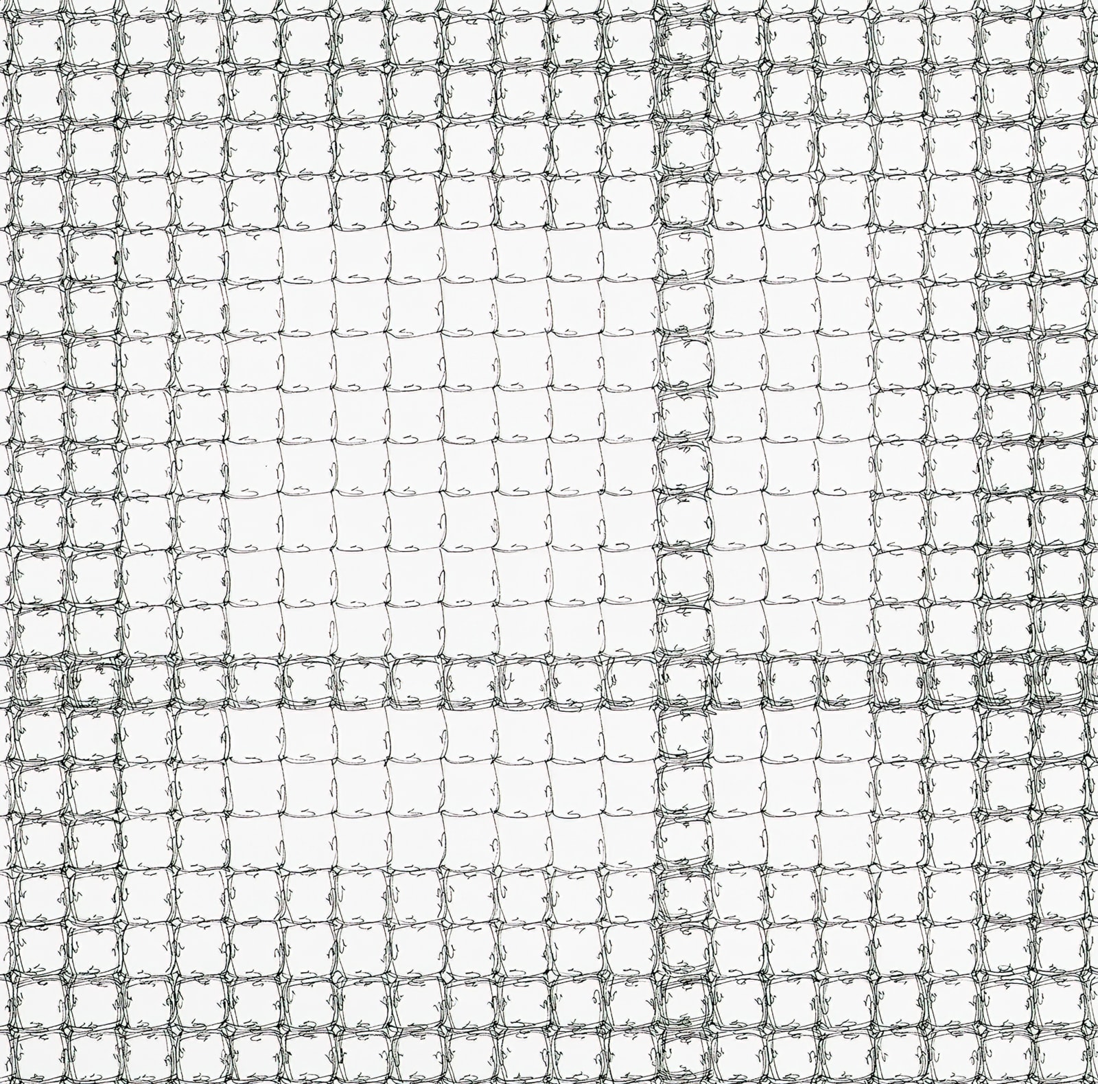 Jane Springwater, Timed Exposure, 2024