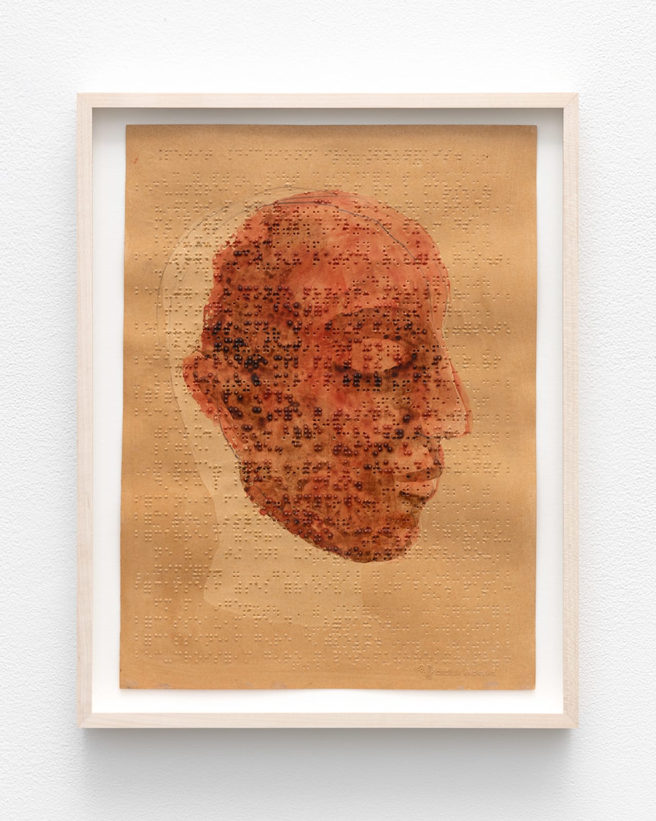 Cécilia Andrews, Appearing and Vanishing, 2022