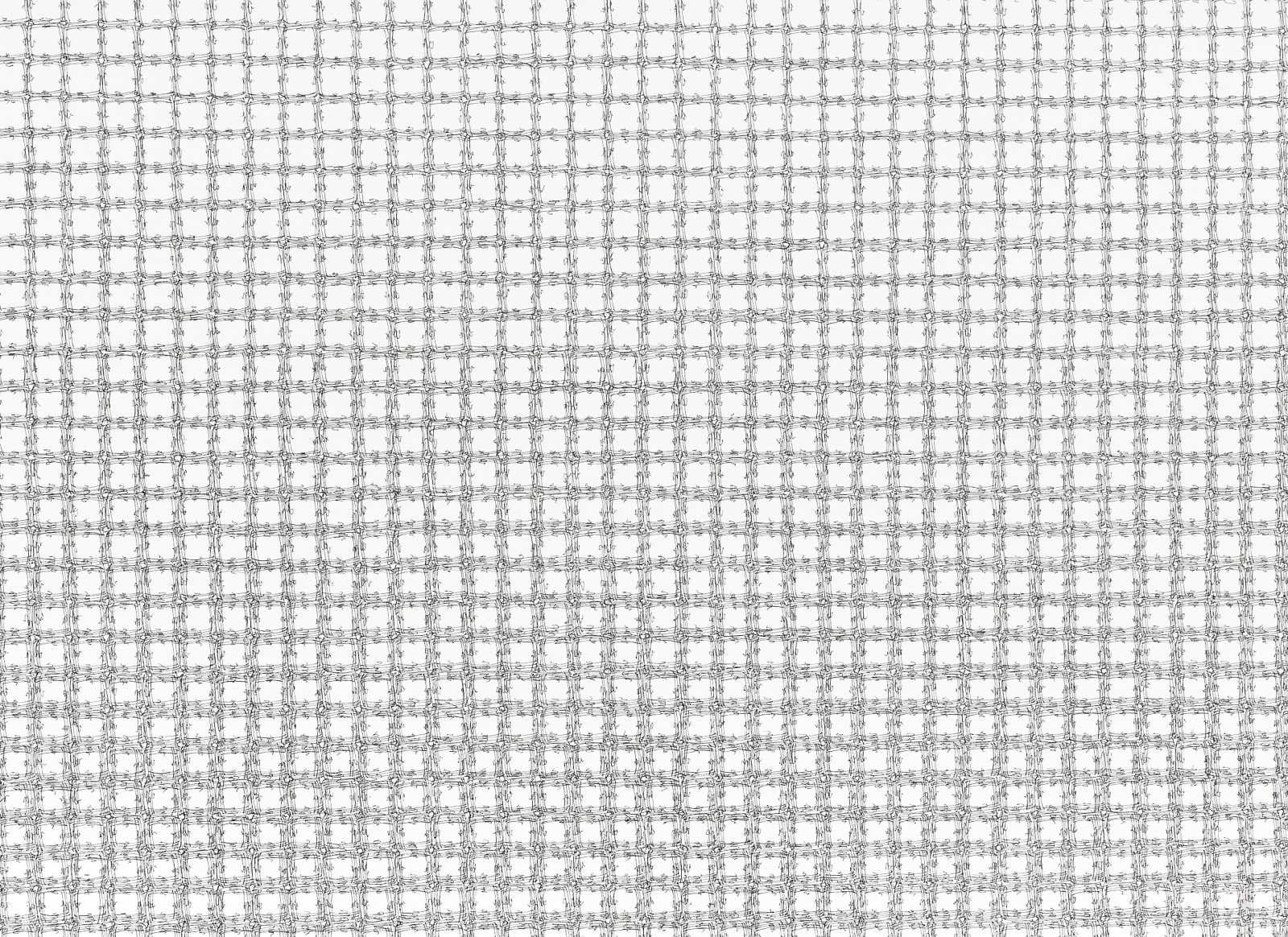 Jane Springwater, Time Continuum, 2025