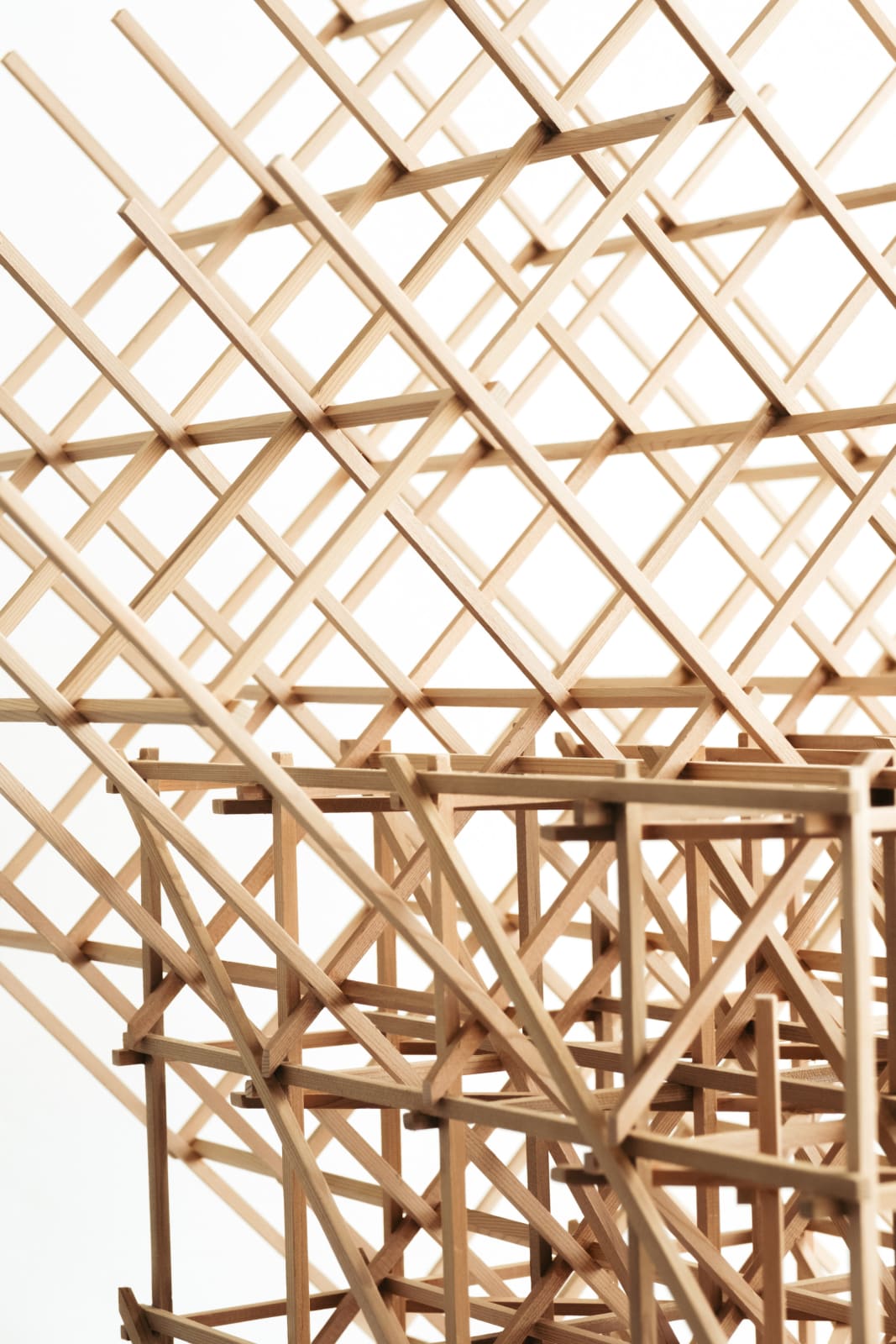 Yvonne Mouser, Hyper-Extension, 2024