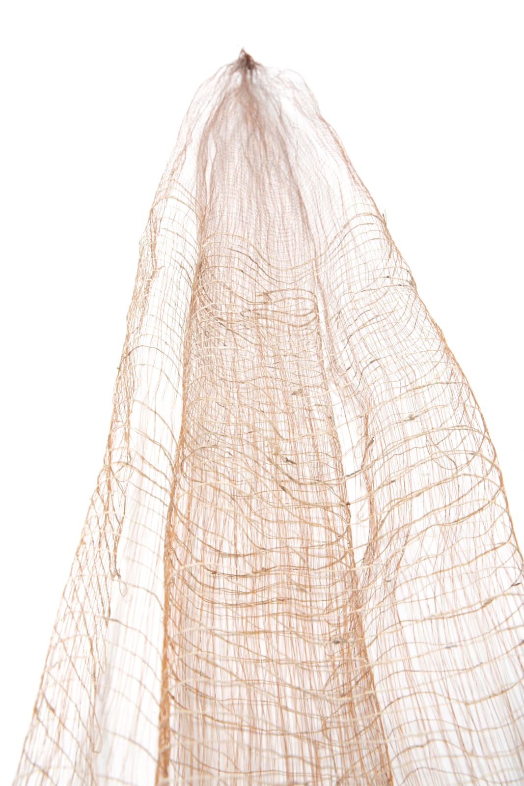 Michelle Yi Martin, For Survival, 2020