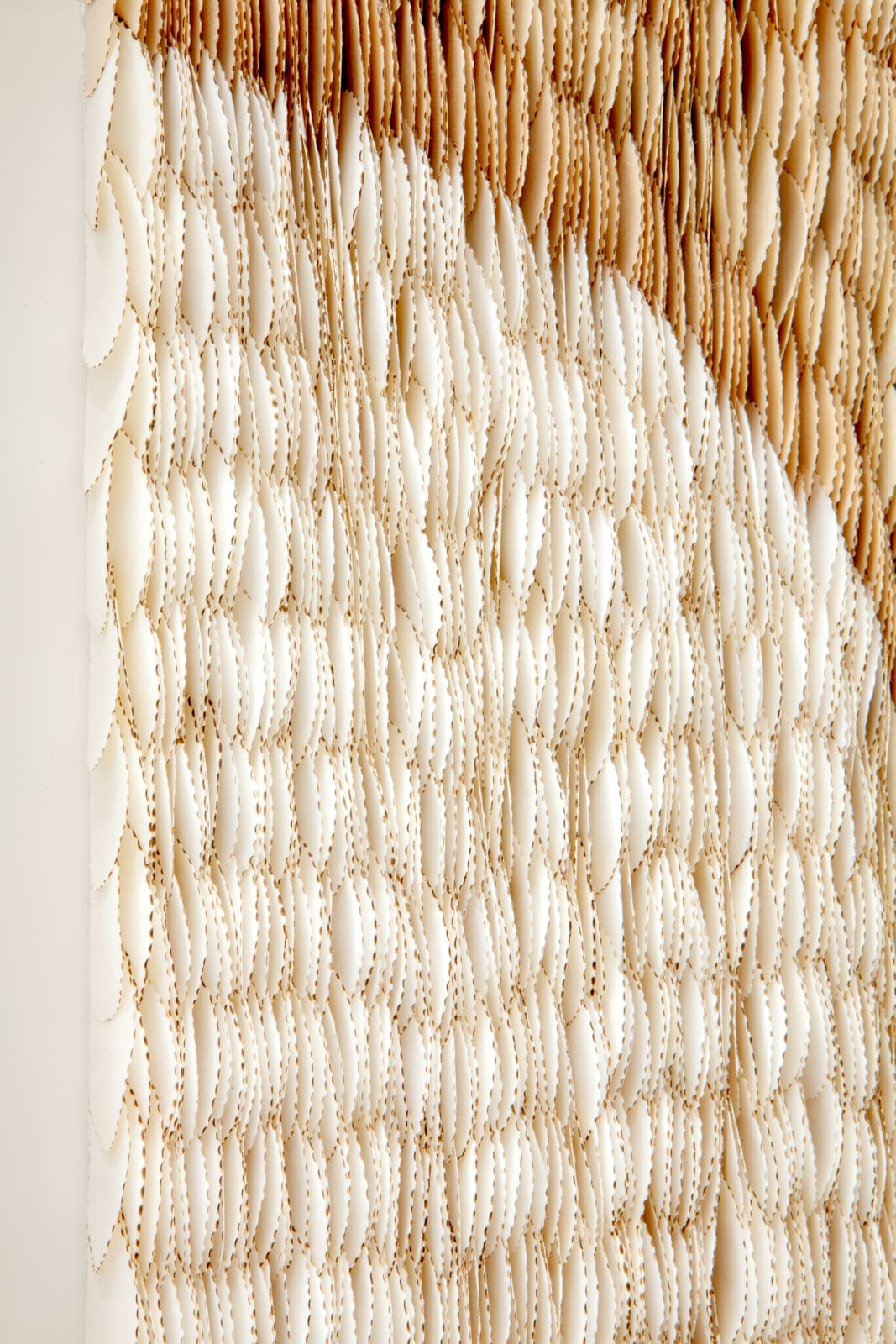 Zaida Oenema, Echo II, 2025