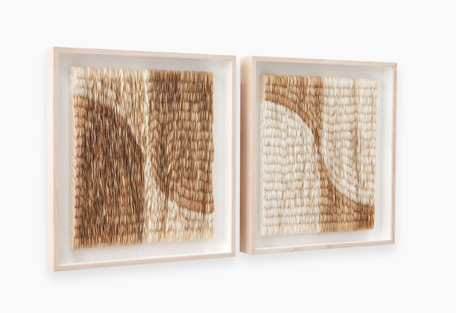 Zaida Oenema, Echo II, 2025