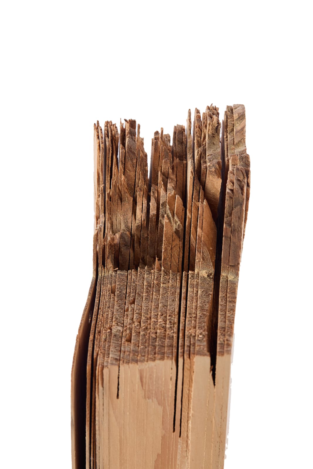 Nick Polansky, Splay no. 17, 2025