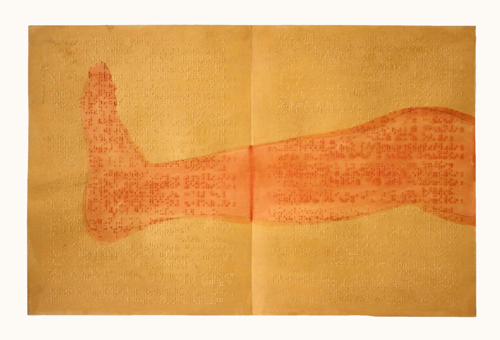 Cécilia Andrews, The Leg - Body Series, 2022