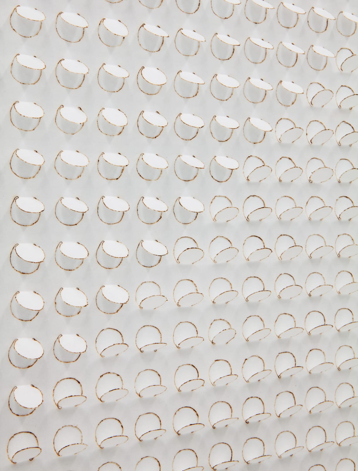 Zaida Oenema, Burnings (Variation X), 2025