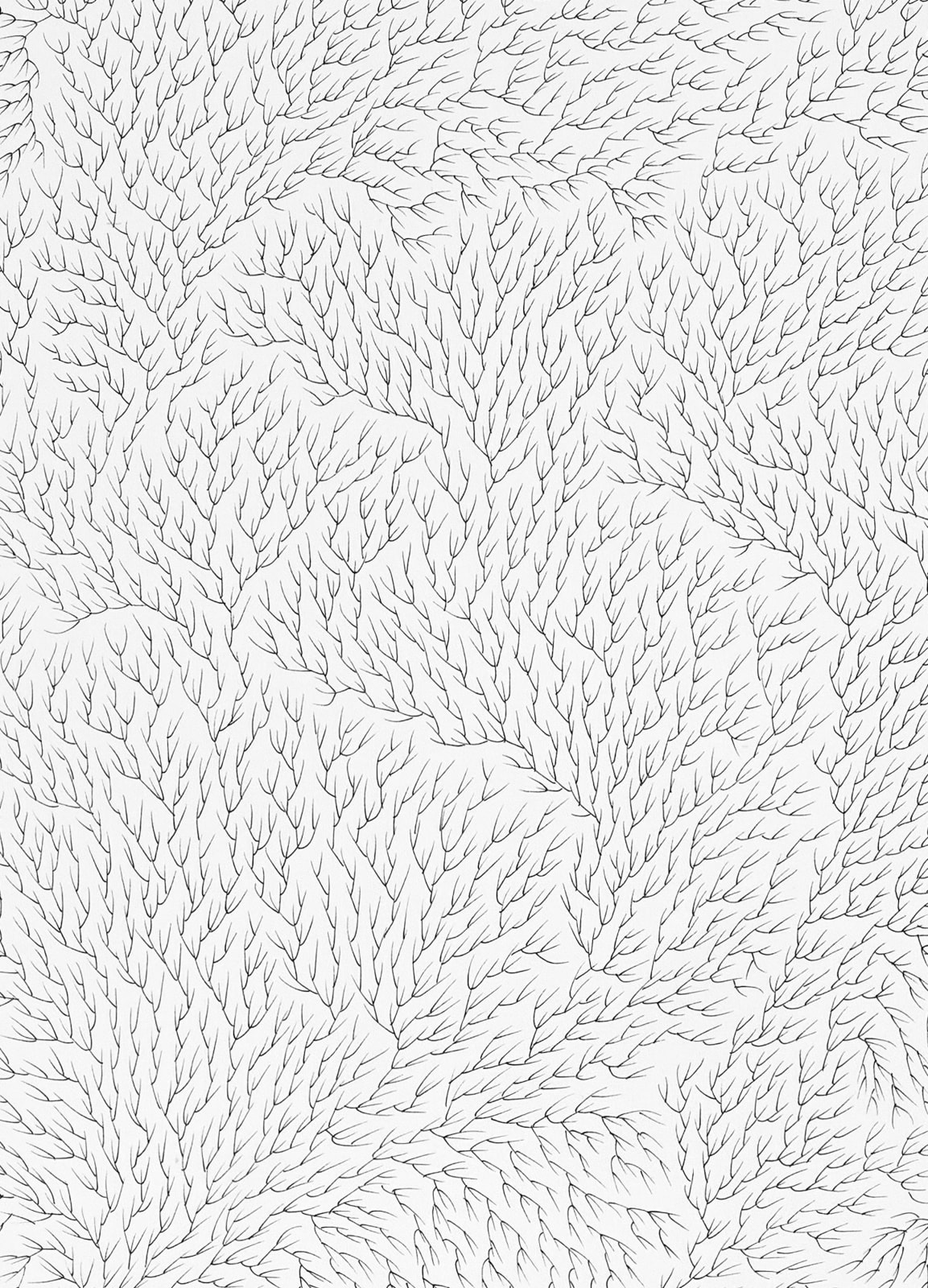 Jane Springwater, Refractions II, 2023