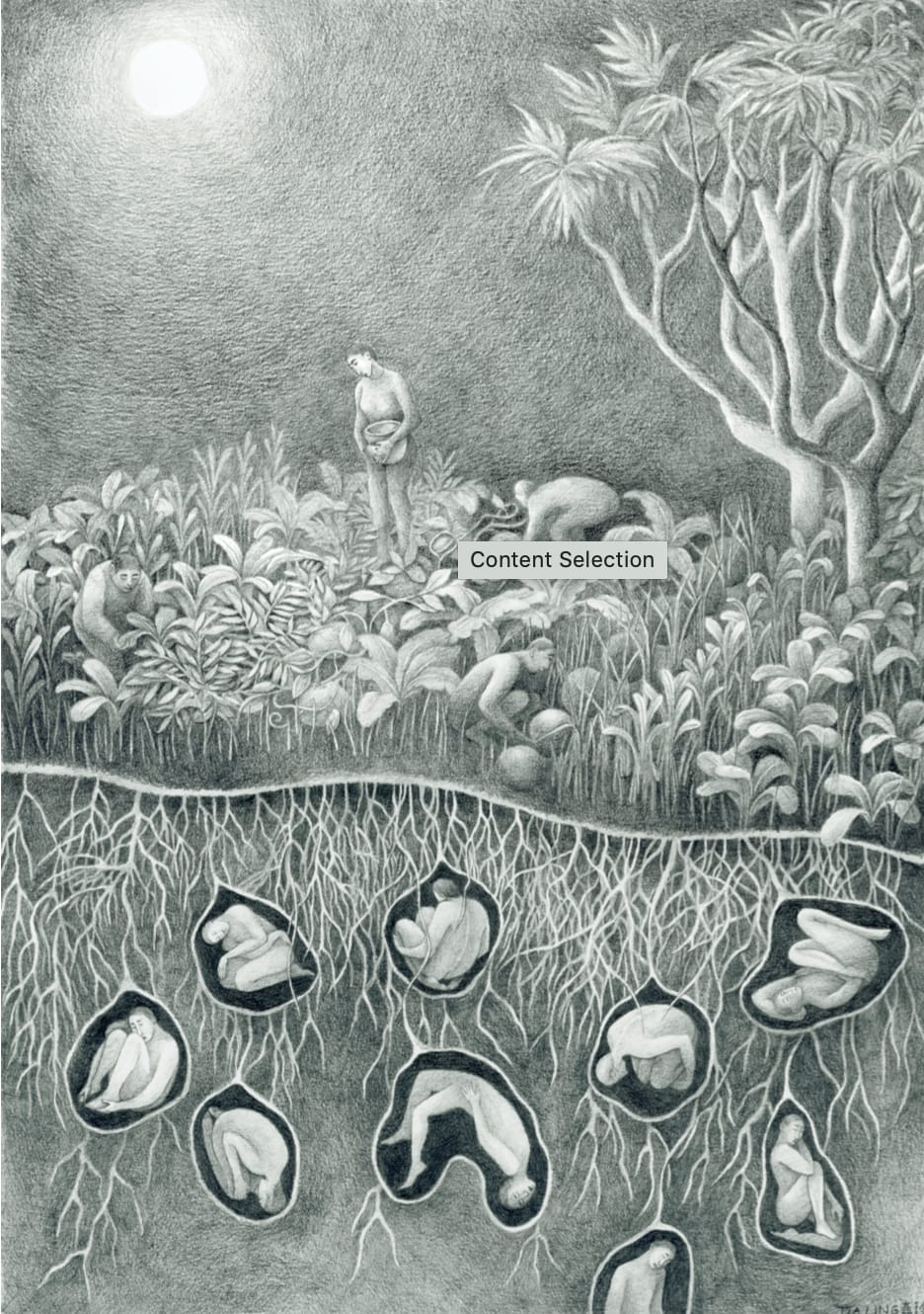 Tja Ling Hu, It’s best to harvest at full moon, 2023