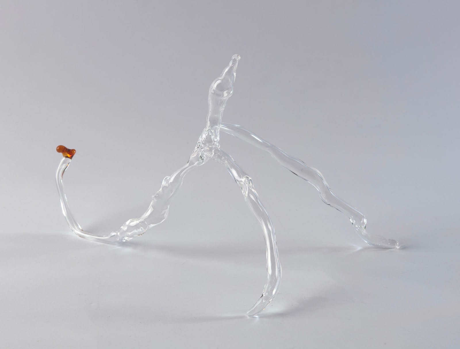 Floria Tosca, Cabinet of Trusted Cures #1, 2024-25