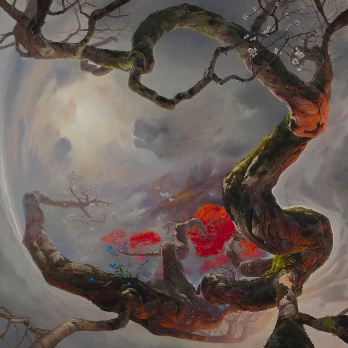 Jason Cordero, On Closer Inspection the Details Were Lost, 2021