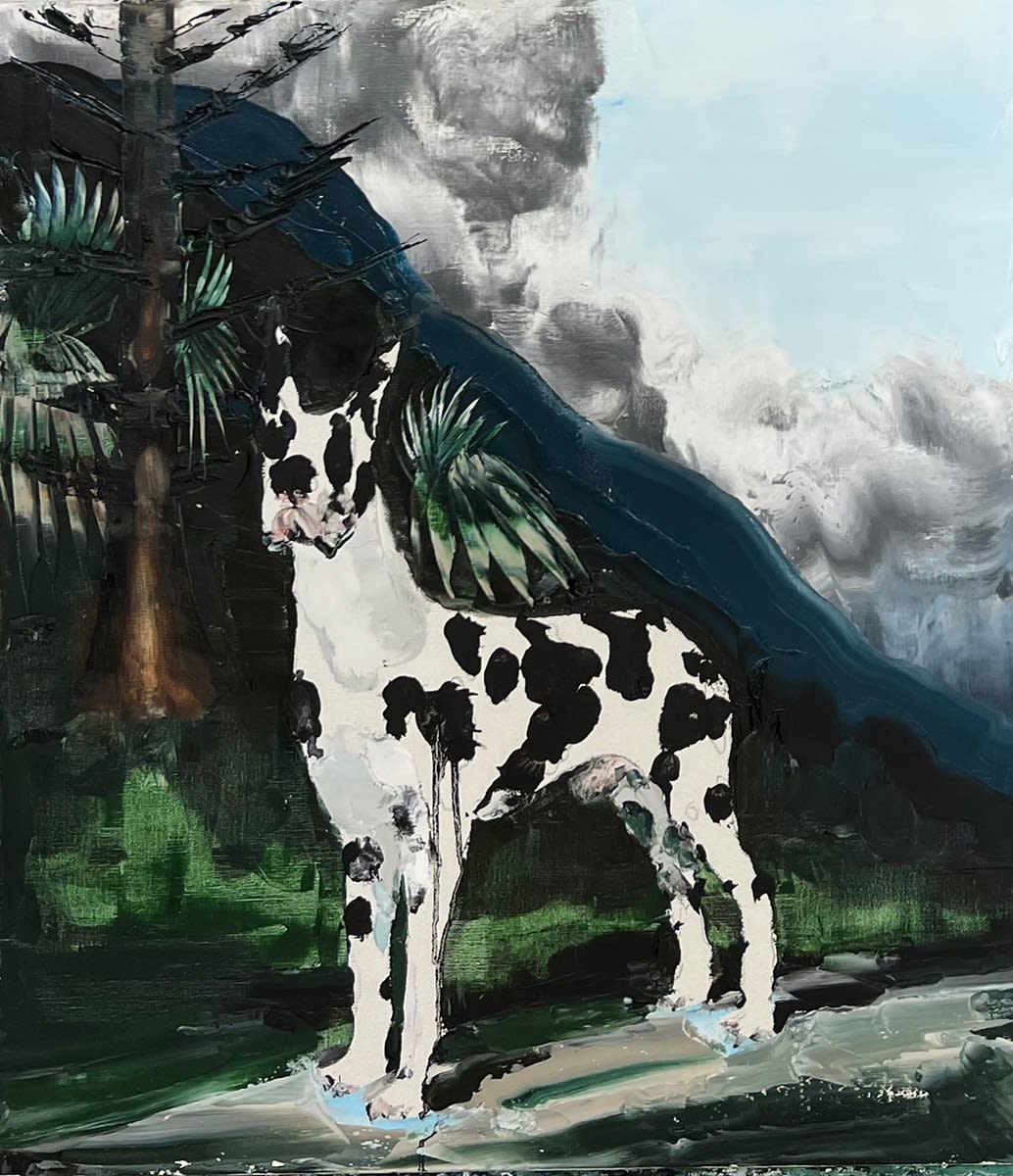 Paul Ryan, Harlequin, Coledale , 2022