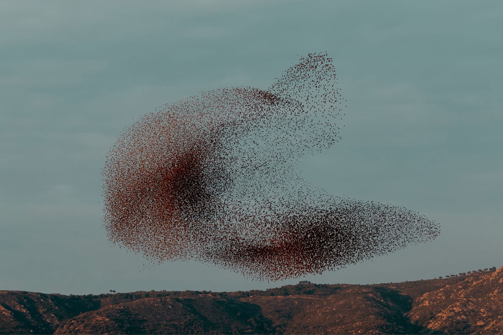 Søren Solkær, Black Sun #77, 2020