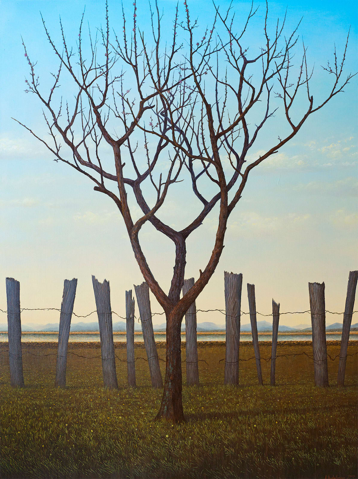 Adam Nudelman, If only my heart could do the thinking, August 15 1970, 2014