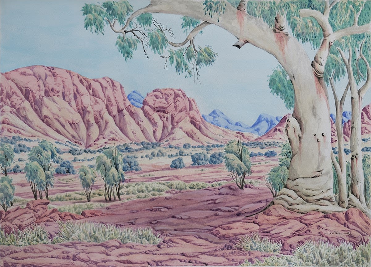 Kumantji (Hubert) Pareroultja, Urana Tjina (James Range, NT) (Cat no: 245-22), 2022