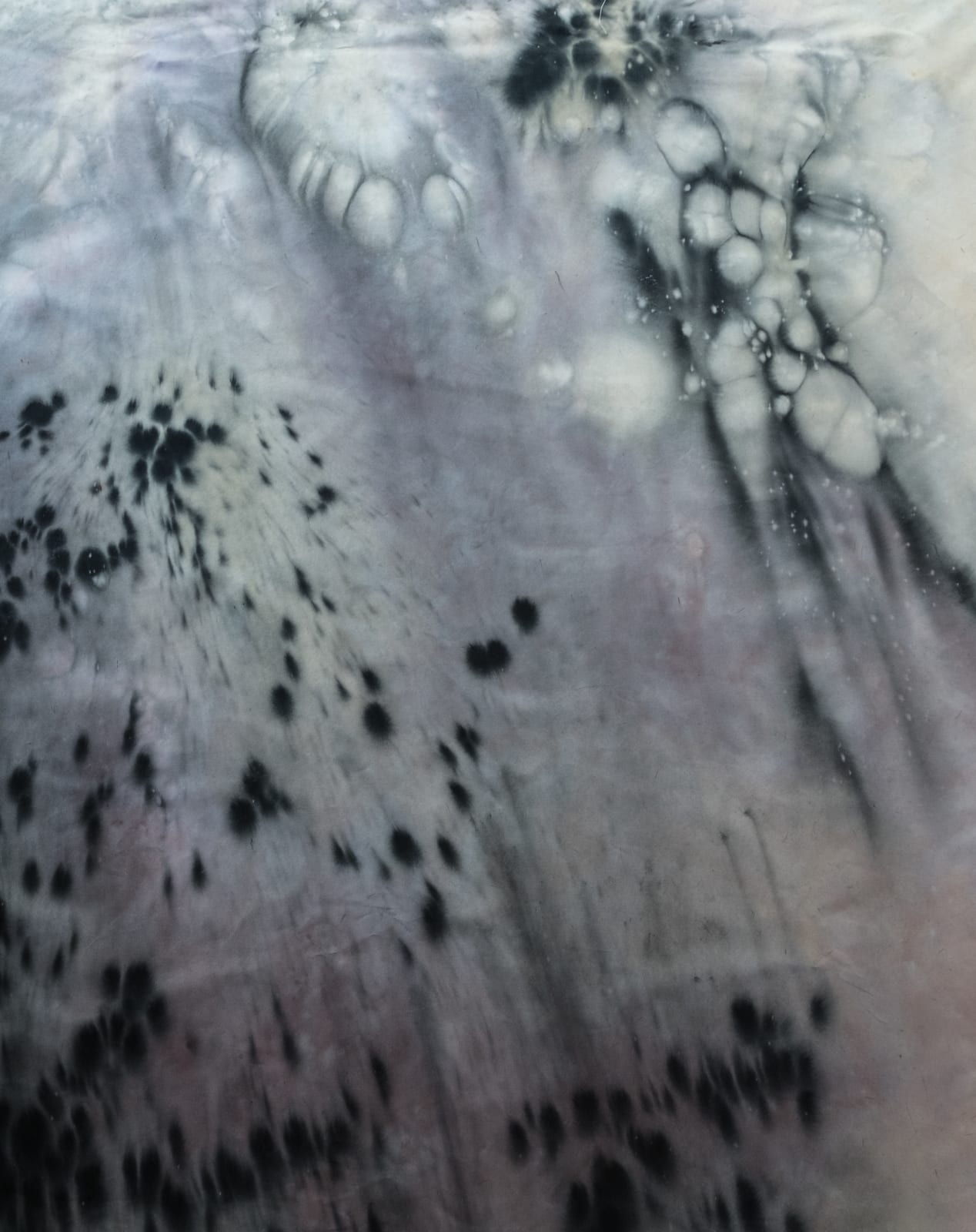 Christopher Horder, Black Fireworks , 2017