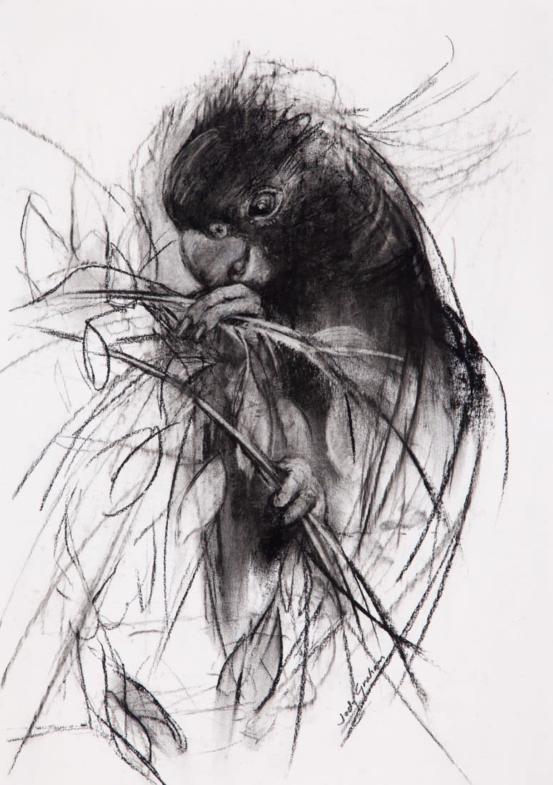 Jody Graham, Forage 1, 2025