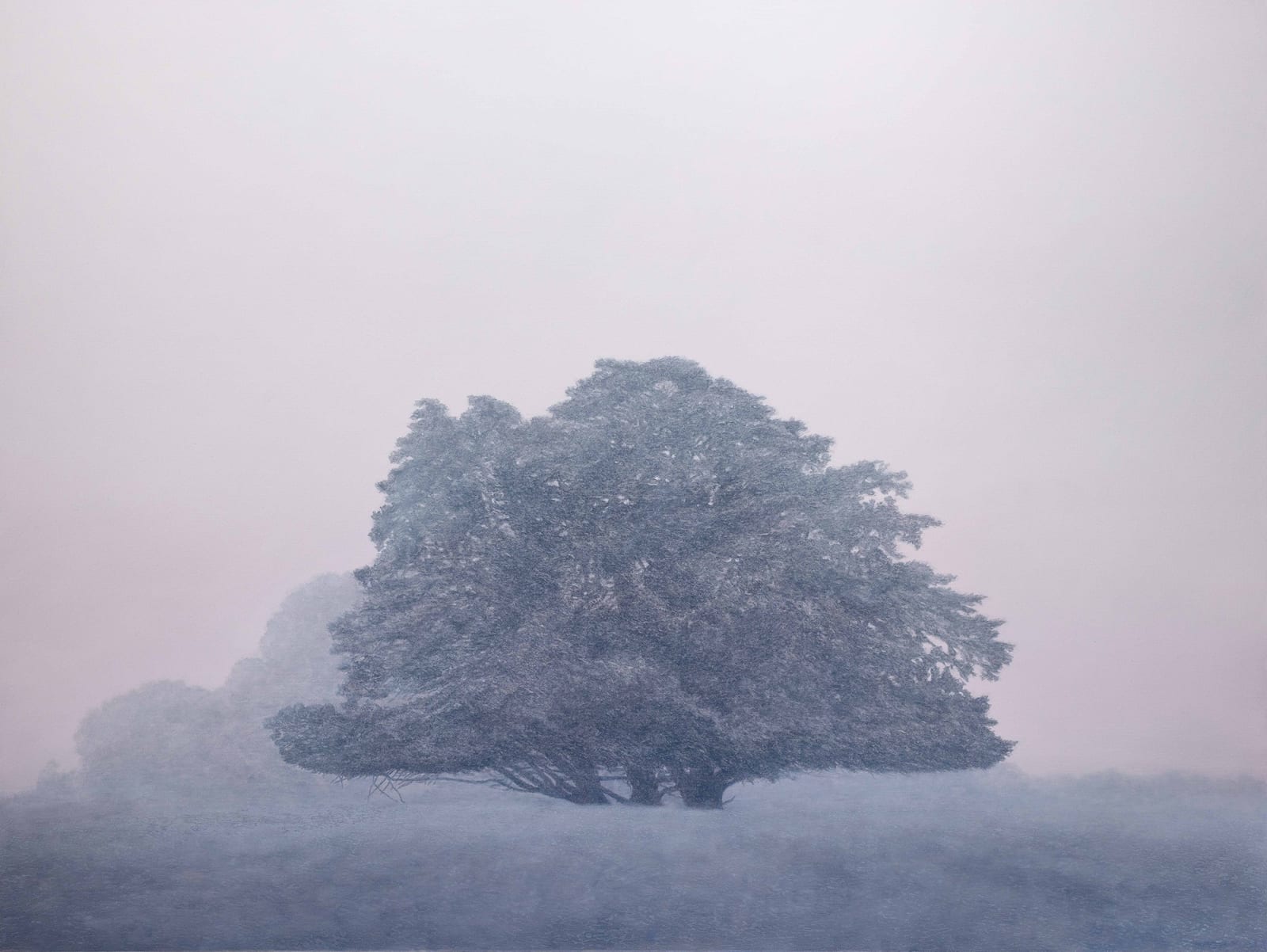 Kathryn Ryan, Drift, 2023