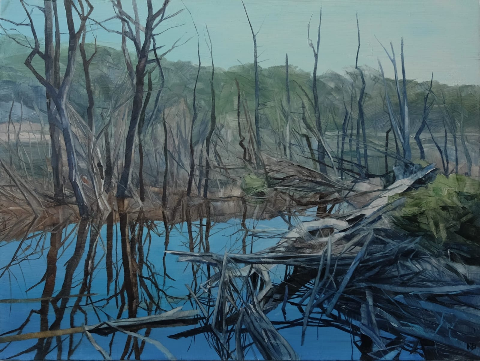 Nicholas Blowers, Savage Pond I Study, 2018