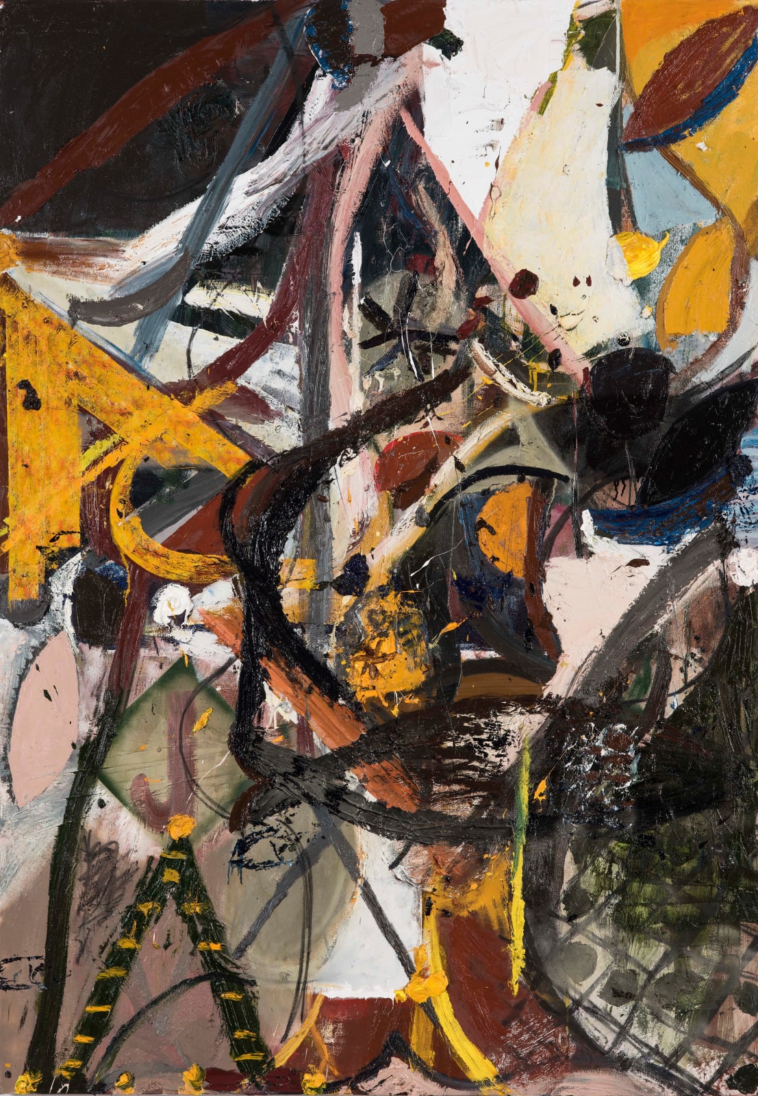 James Drinkwater, The Captain with Australian Salmon , 2018