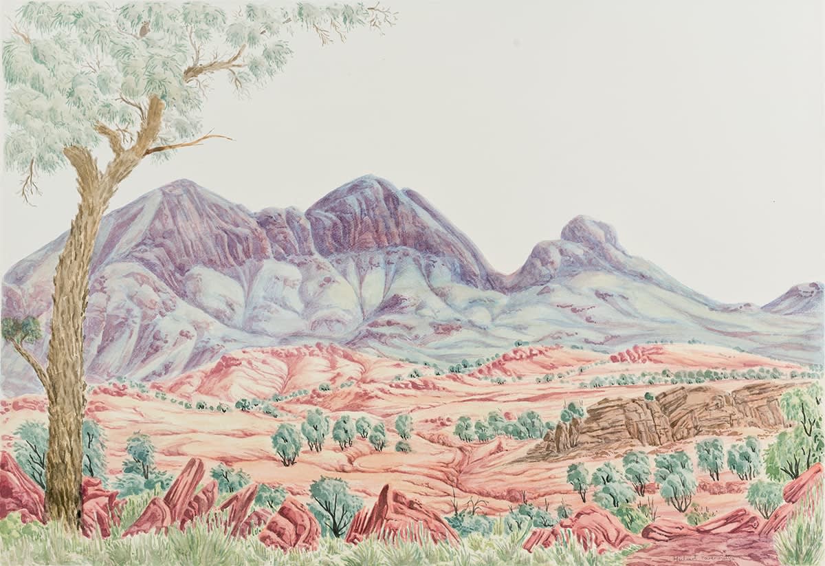 Kumantji (Hubert) Pareroultja, Corkwood Tree in Mt Sonder, NT Central Australia, 2023