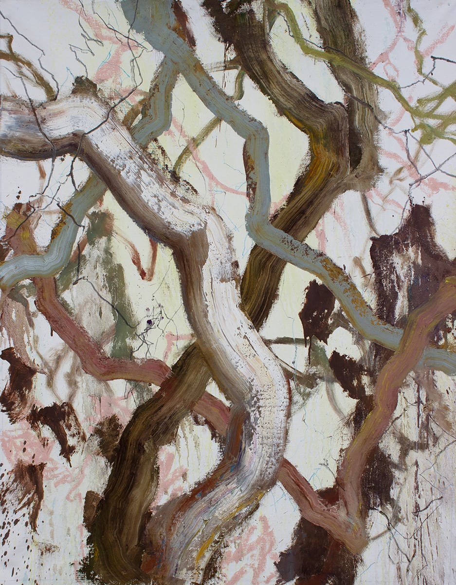 Brett McMahon, Tree Study 6, 2025