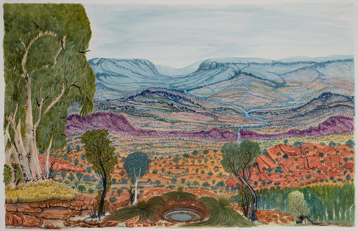 Selma Coulthard, Going towards Wanmarra (Kings Creek) - off the road a bit WAC74-24, 2024