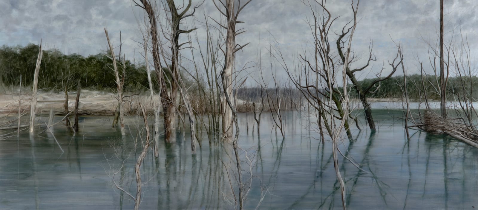 Nicholas Blowers, Partly Submerged, Silent Expanse, Savage River Tailing Ponds 2015, 2015